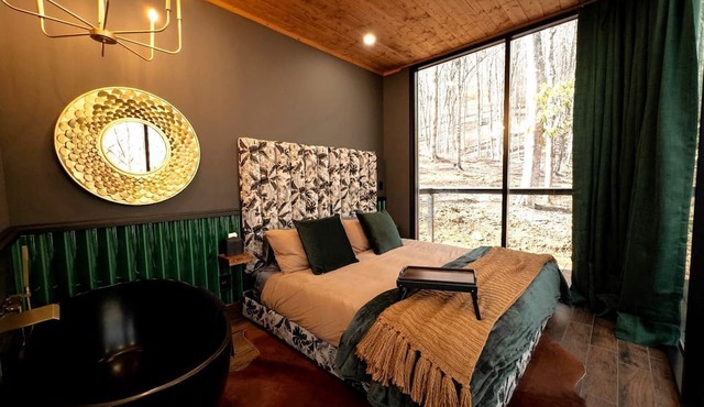 Luxurious Glass Tiny House with Sleek Interior Design for an Amazing Couples Getaway near Mars Hill, NC