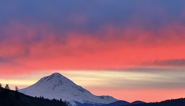 Luxury idyllic guesthouse w/Mt Hood views, patio w/gas fire-pit, and gardens!