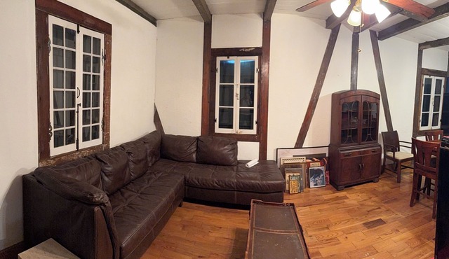 Marvelous 2-bedroom house with AC in vibrant New Orleans