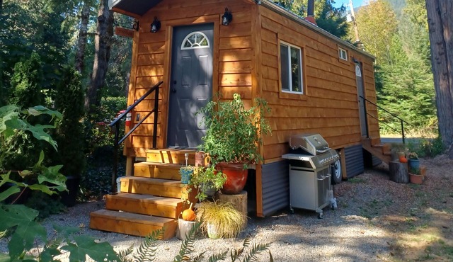 Mckenzie Riverfront Tiny Cabin near Hoodoo, Hotsprings & Loloma!