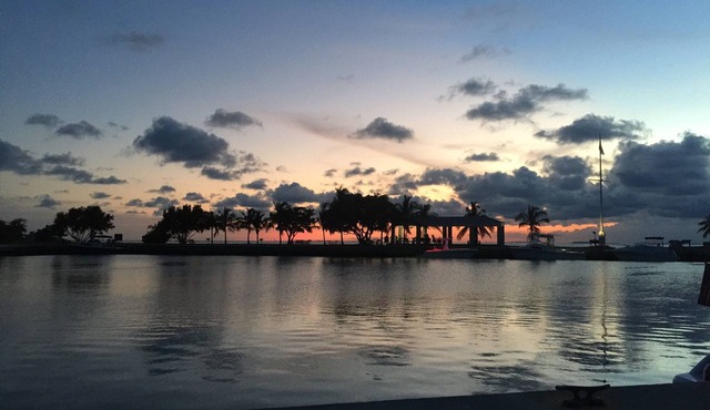 MIAMI Spacious & Clean Studio - Private Entrance