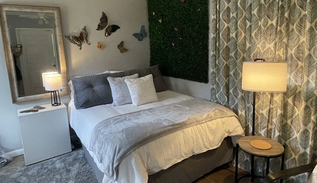 Mini Monarch 🦋 Cabina