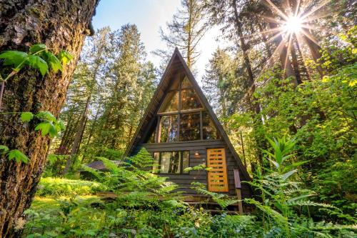 Modern A-Frame Cabin in the Woods