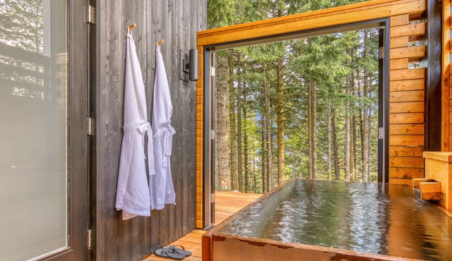 Modern cabin, views, geothermal hot tub, indoor steam sauna & deck