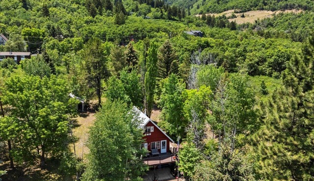 Mountain Cabin - Eden, UT - 15 mins to Skiing, Outdoor Shower, 1.5 acres in Eden