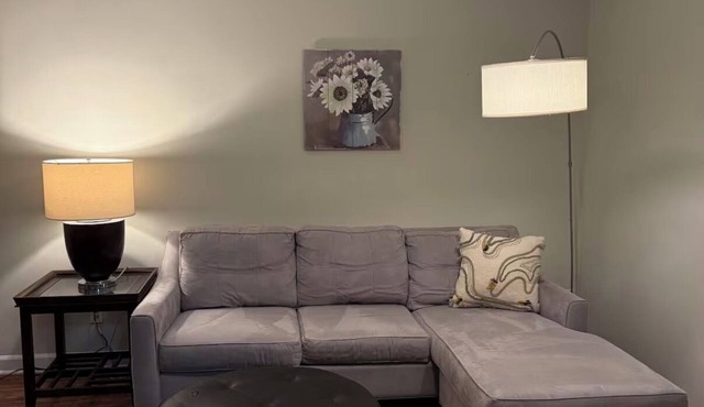 Move-in ready 1-BR monthly-rental condo near Univ of TN and downtown Knoxville