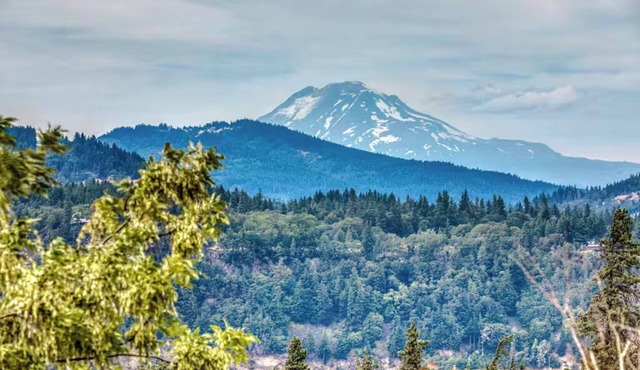 Mt. Adams View, Trails, River View, Pets OK, Walkable to Downtown