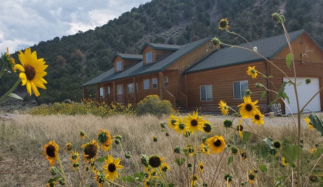 National Park Central | Cozy Cabin Adventure Base | Fire Pit and Deck