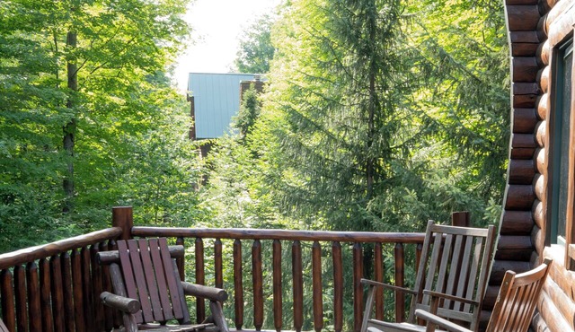New Rental -VENETIAN FESTIVAL SPECIAL - Boyne Mountain Cabin 4-bed, sleeps 9-11