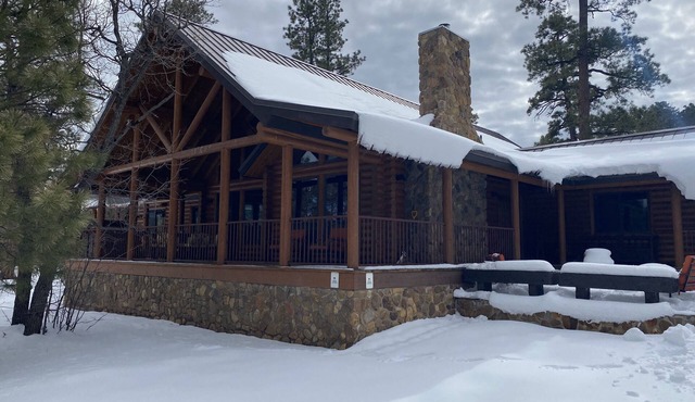 NEWER, LUXURY, Solid LOG CABIN on Secluded 10 ACRES in Northern AZ