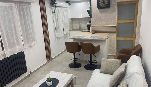 Nice apartment in Dijon