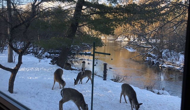 Norman Rockwell cabin nestled on the North Branch of the Au Sable River.