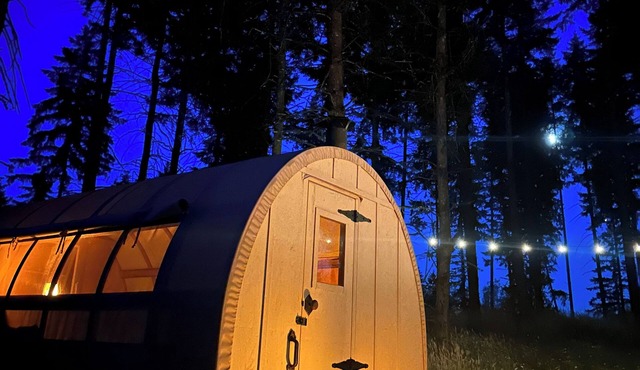 Oregon Trail Covered Wagon by the Creek