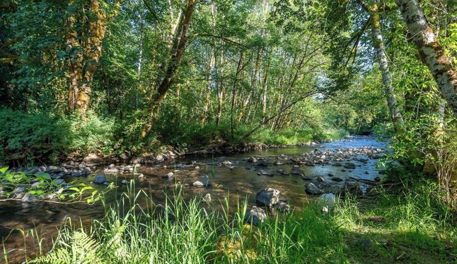 Peace and Quiet ~ Unique Escape w/Sauna & BBQ