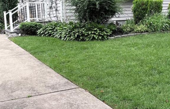 Peaceful 3BR Garden Cottage - Long Island Escape