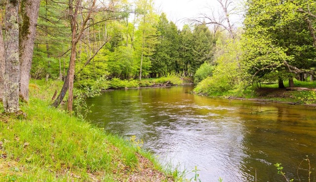 Pere Marquette River Fishing Cabin 1