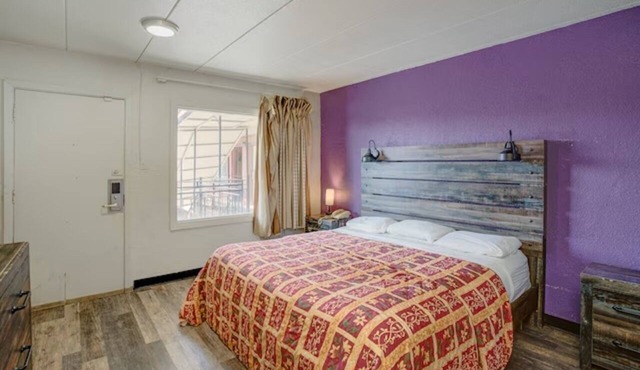 Pet-Friendly King Bed Stay near Wolfe Wildlife Park | Functional & Free Parking!
