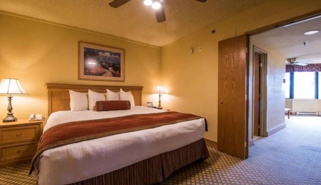 Pet-Friendly King Suite | Spa and Near Slopes in Crested Butte