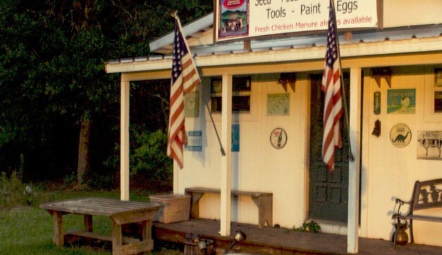 Pet-Friendly Poolside Rental Amid Forest Trees in Lumberton, Texas in Lumberton