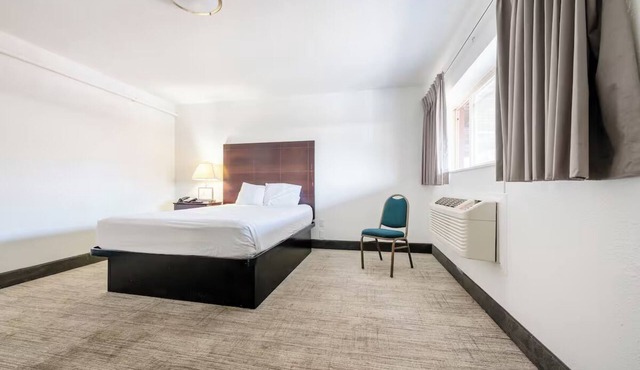 Pet-Friendly Queen Room with Essentials Near Restaurants + Free Parking