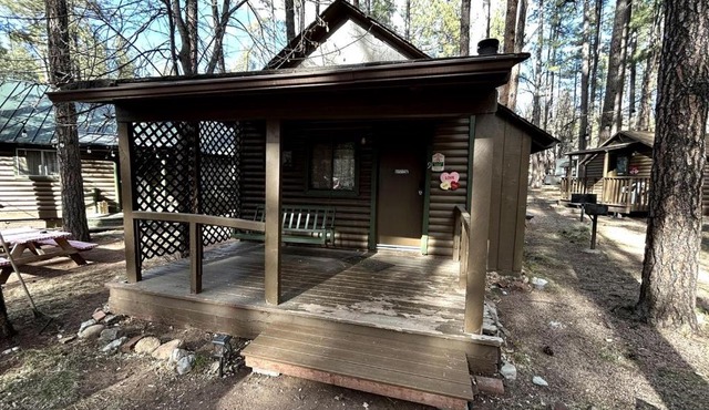 Pet Friendly Studio Cabin with Kitchenette and BBQ, Perfect for a Weekend in the Forest of Christopher Creek