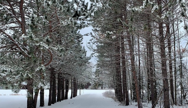 Porcupine Place- Remodeled 3 bedroom in Upper Peninsula's "Pure Michigan"