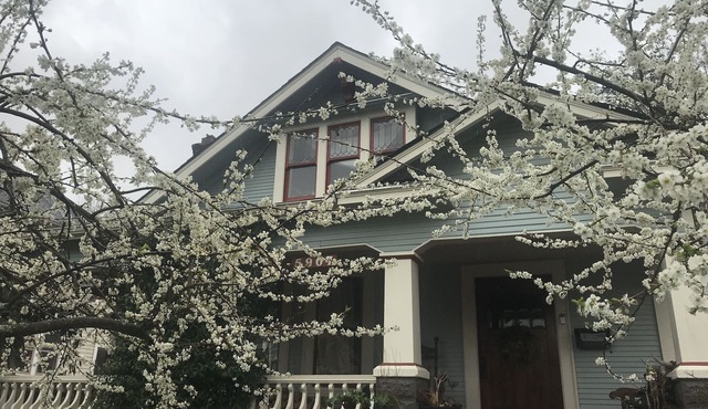 Portland Sanctuary