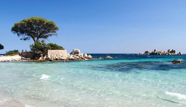 Pretty, comfortable villa just a stone's throw from the famous PALOMBAGGIA beach