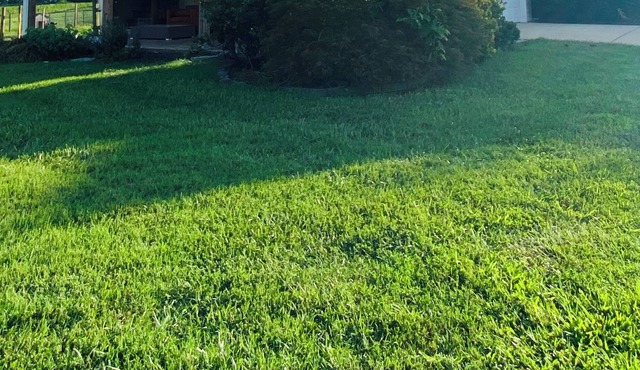 Private 1BR/1BA Open Concept Apartment, professional travelers