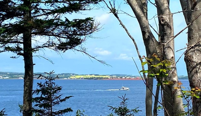 Private, Ocean View Cottage, 5 Mins - Cavendish, large deck, A/C, Wifi, Sleeps 6 in Breadalbane