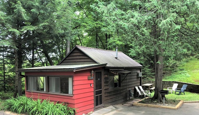 Quaint Pet Friendly Cabin on Big Arbor Vitae Lake