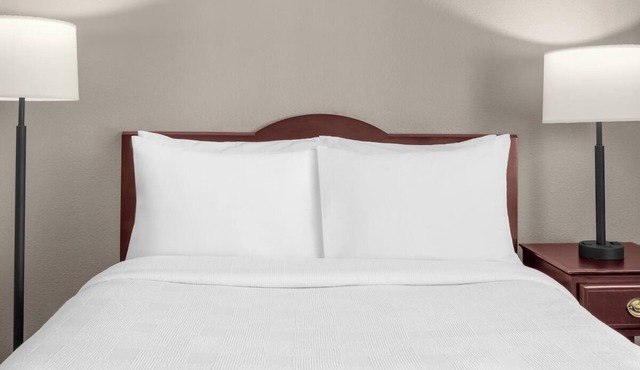Relax in a Suite w/Full Kitchen & Outdoor Space – Perfect for Travelers