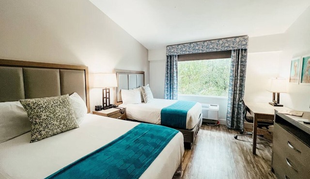 Relaxing Bayside Stay Near Dolphins Plus With Heated Pool