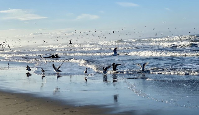 Remote Oceanfront Retreat Between Santa Cruz & Monterey