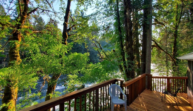 RiverPeace on the McKenzie
