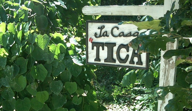 Romantic Modern Casita Nestled In The Woods. PET FRIENDLY! Close to Beach 🏖️