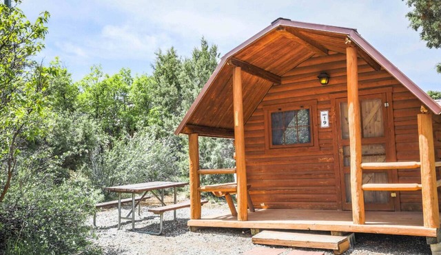 Rustic Cabin (Sleeps 4) - The Camping Cabin sleeps a maximum of 4. Bring your own linens.