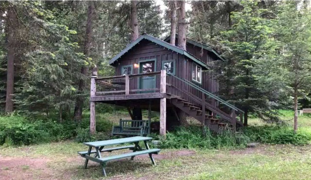 Rustic Treehouse Cabin on Green Bluff! in Mead