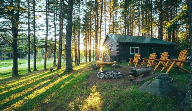 Sasquatch Sanctuary Tiny Log Home on 10 Acres