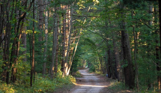 Scenic Drive Resort - Cabin #7