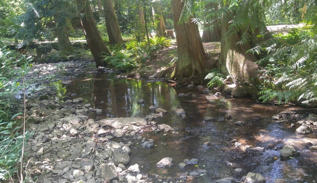 Scott Creek Farm