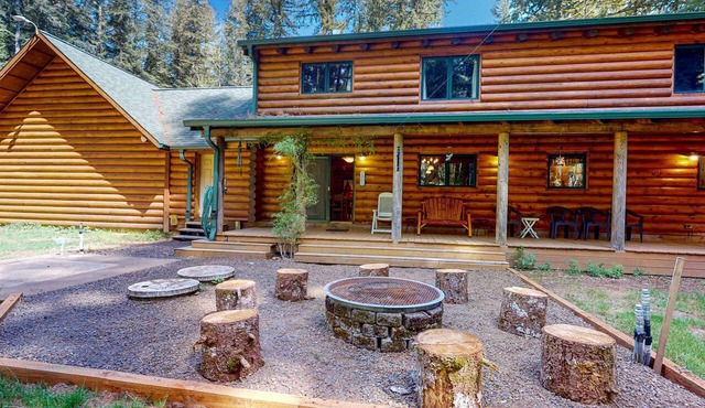 Secluded Forest Lodge steps from the Wilson River