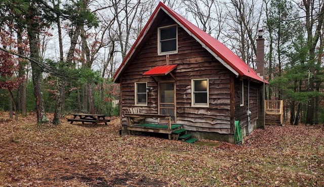Secluded Luxury Cabin with Hot Tub on 10 Private Acres near Trails in Reed City, Michigan