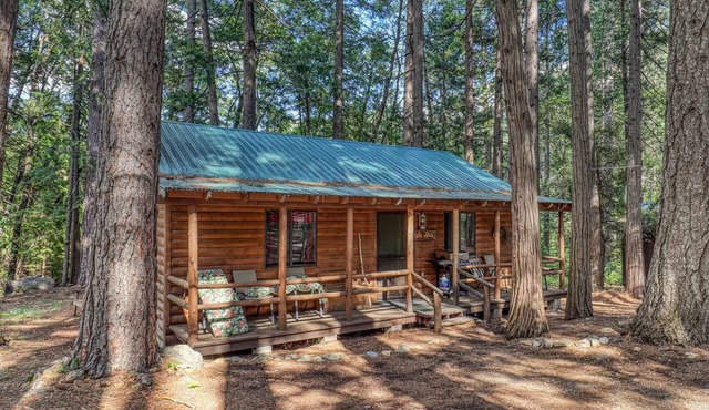 Sequoia - Rustic Log Cabin in Sierra City
