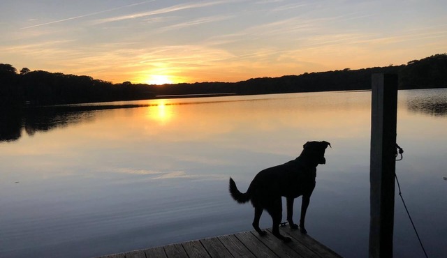 Set on 85 acre lake with endless sunsets over water. Peaceful. Nature. Private.