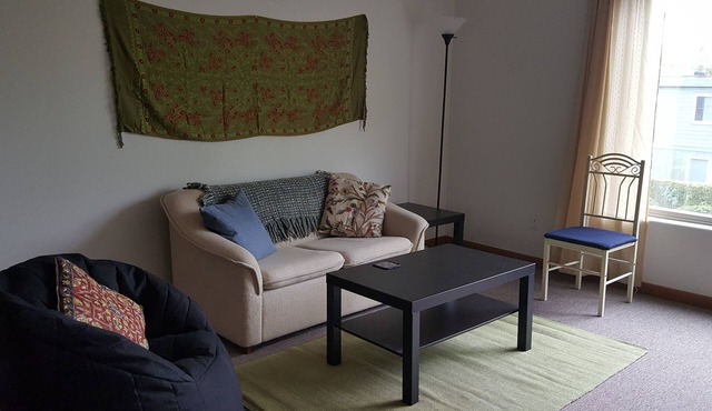 Spacious and Convenient Mt Tabor area Apartment