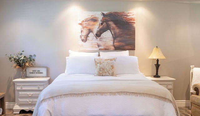 Spacious Studio Basement Apartment Horse Farm Stay in Odessa