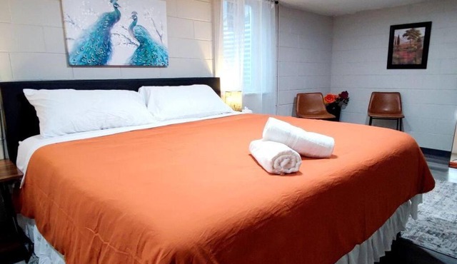 Spacious Suite Close to Downtown Indy/King Bed