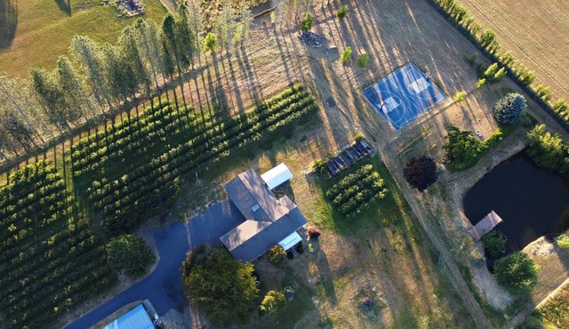 Stay on a Blueberry Farm! Cute Farmhouse with Pickleball Court!