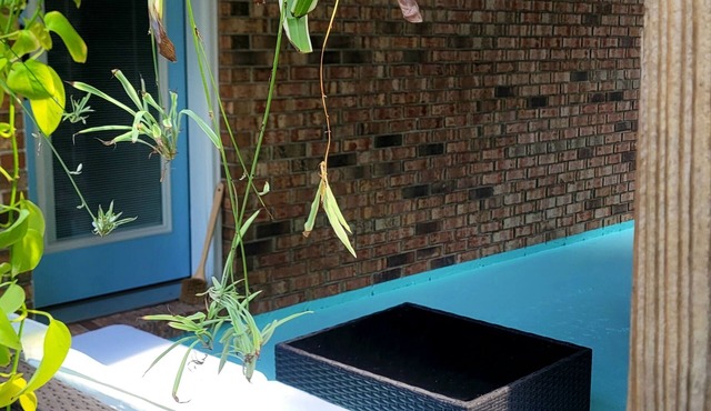 Studio Flat minutes from Emerald Coasts BeachesnnnDeep Discount on Second Month